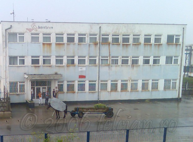 Calul-in-ploaie-Telcian.ro-