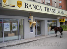 Calul la Banca Transilvania