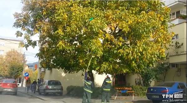 exces de zel la servici